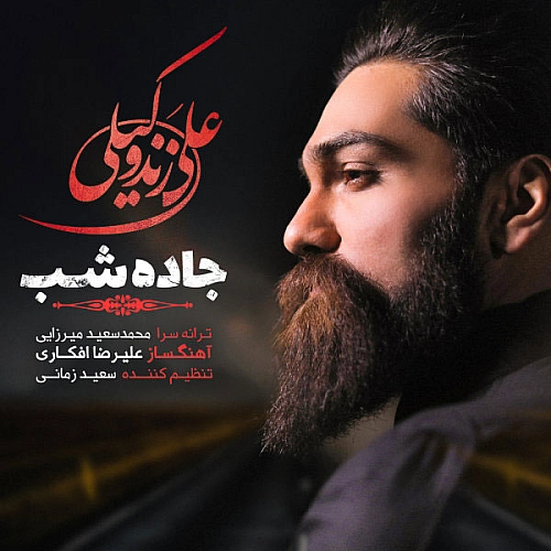 جاده شب